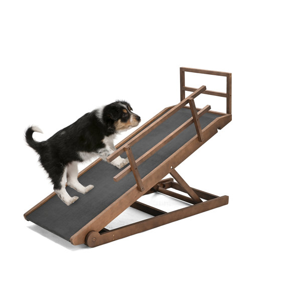 Wayfair 2025 dog ramp